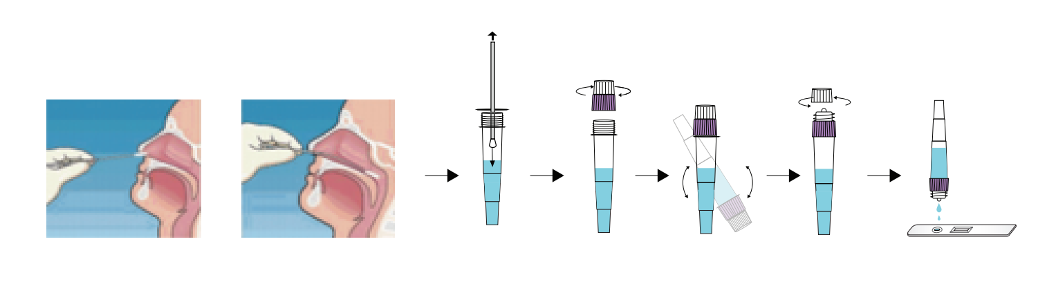promed